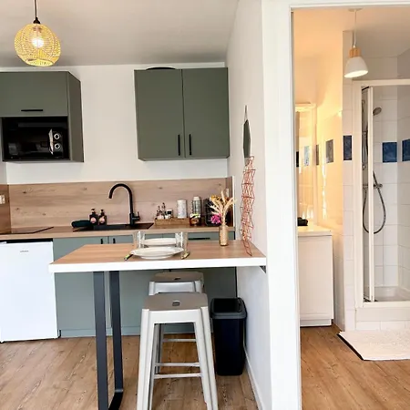 L'escale Rochelaise Avec Terrasse, Aquarium A 5 Min La Rochelle